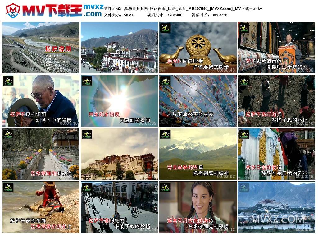 苏勒亚其其格-拉萨夜雨_国语_流行_MB407040